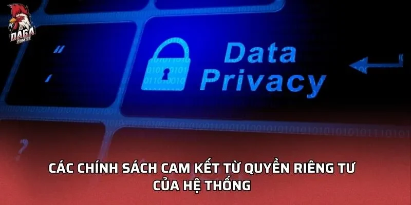 cac-chinh-sach-cam-ket