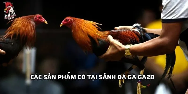cac-san-pham-co-tai-sanh-da-ga-ga28
