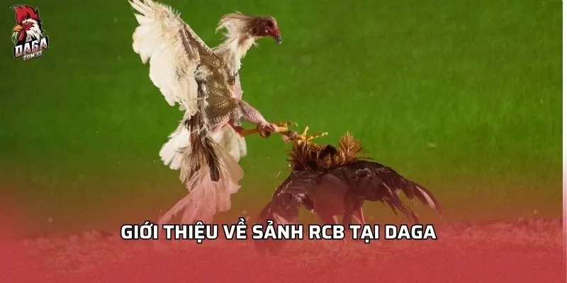 gioi-thieu-ve-sanh-rcb-tai-daga