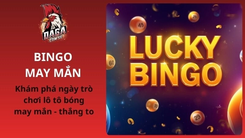 Bingo Là Gì? Mẹo Chơi Bingo May Mắn Tại DAGA 2026