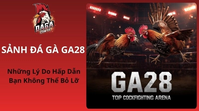 Sảnh Đá Gà GA28: Những Lý Do Hấp Dẫn Bạn Không Thể Bỏ Lỡ