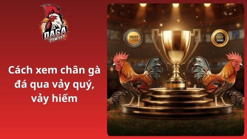 Cách xem chân gà đá