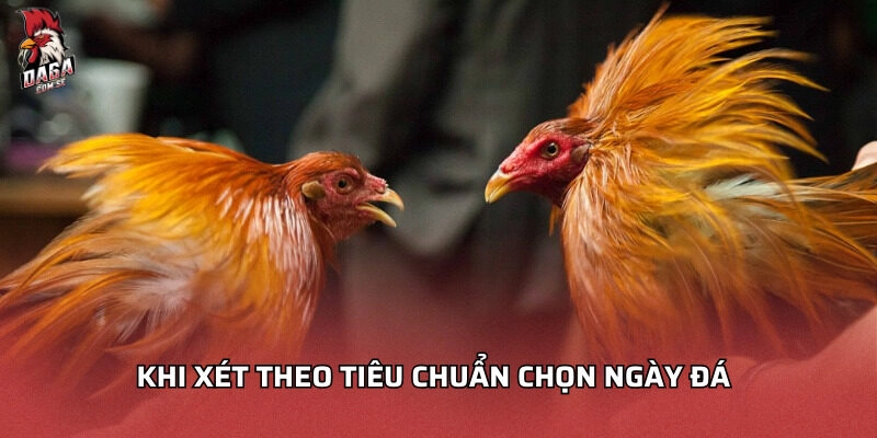 Khi xét theo tiêu chuẩn chọn ngày đá