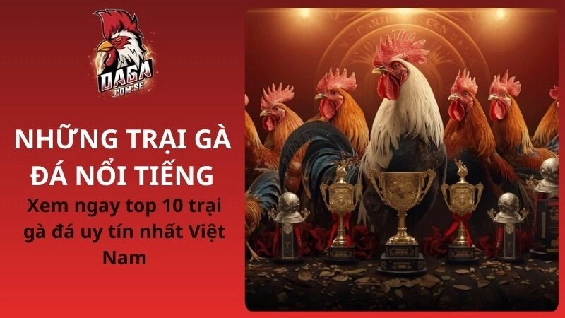 những trại gà đá nổi tiếng